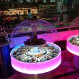 Merliani 360 Nourriture