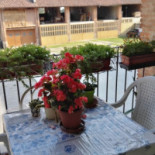 Pizzeria Il Cinghei À l'intérieur