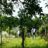 Cascina Degli Ulivi Comida