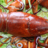 Due Fontane Comida