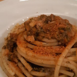 Cicala Nourriture