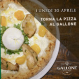Gallone Comida