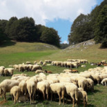 Malga Susine Extérieur
