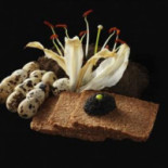 Bazabo Cibo Comida