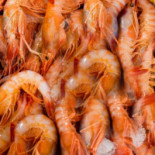 Casa Del Pesce Di Di Falco Francesco E C. Comida