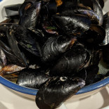 Ittico Comida