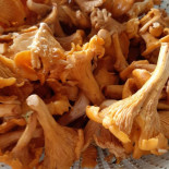 Romanesc Phoenix Transilvania food