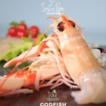 Godfish