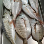 Lido La Murena food