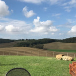 Ca Lo Spelli E Muricce Nourriture