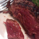 Pit Bull Food