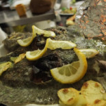 Nautilus Comida