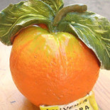 Aranciamobile Nourriture