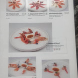 Found Sushi Rezzato Nourriture