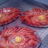 Spigola D'oro Nourriture