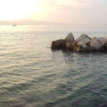 Royal Reef Nourriture