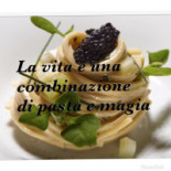 Luwak Comida
