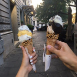 L'orso Bianco food