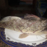 Pharaoh Cibo