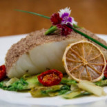 Cocciopesto Comida
