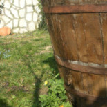 Giardini Di Eidos Nourriture