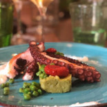 Apoteca Food