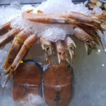 Fusion Seafood food