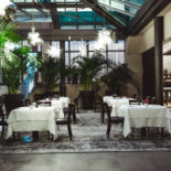 Patio Dentro