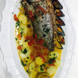 Neptunus Comida