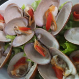Messapica Nourriture