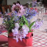 La Vigna Della Corte Nourriture
