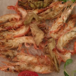 Agua Comida