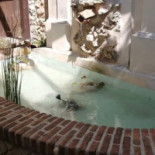 Hostaria Di Pesce À l'intérieur