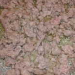 Freestyle Food Nourriture