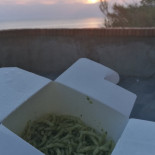 Primo Piatto Nourriture