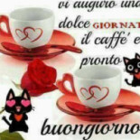 Café Rouge Comida