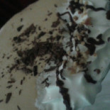 Geck'o Nourriture