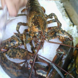 Elios Food
