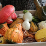 Trattoria Al Faro food
