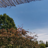 Cascina Torrine Exterior