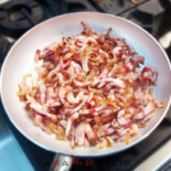 Ara Bracis Comida