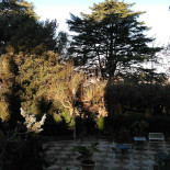 Verdeborgo À l'intérieur