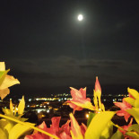 La Terrazza Nourriture