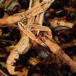 Universale Comida