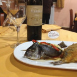Le Note Del Gusto Nourriture