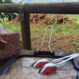 Malga Corva Comida