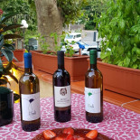 Ristorante Bar Da Enrico food