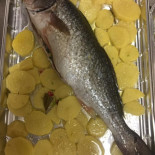 Il Re Pescatore Nourriture