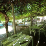 Vigna Del Borgo food