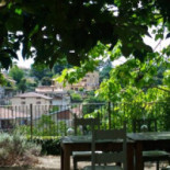 Vigna Del Borgo inside